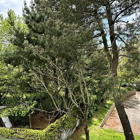Appartement Résidence Caz-66-la Baule Escoublac - - Proche Mae-3391