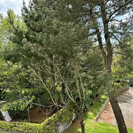 Résidence Caz-66-la Baule Escoublac - - Proche Mae-3391 Appartement La Baule-Escoublac