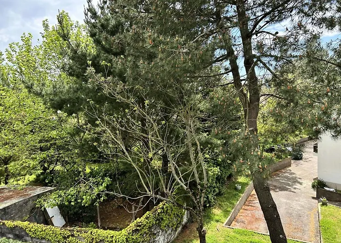 Apartment Caz-66-la Baule Escoublac - - Proche Mae-3391